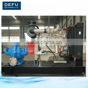 DEFU Brand Drinking Water Hand Pump With Diesel Engine thumbnail-1