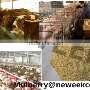 Neweek Small 9FQ Hammer Mill for Animal Poultry Feed Grinder thumbnail-5