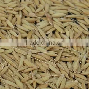 Agricultural Rice Thresher Machine/rice Thresher thumbnail-6