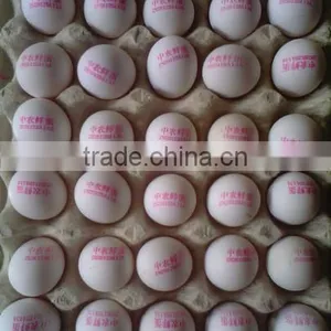 30 Holes Digital Print Machine/egg Printer/Inkjet Printer thumbnail-2