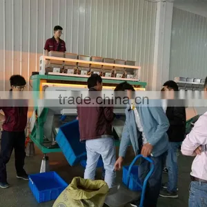 Intelligent Dried Vegetable Color Sorter Machine thumbnail-2