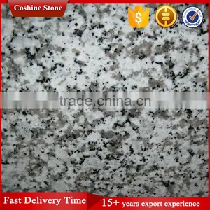 Polished Bianco Sardo G439 Big Flower White Granite thumbnail-1