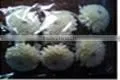 BELLY Flower Diffuser thumbnail-1