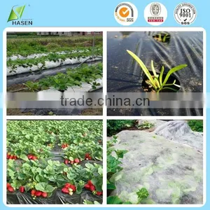 Biodegradable Polypropylene Agricultural Film thumbnail-1