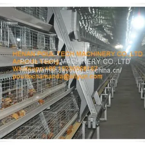 Oman Poultry Farming A Frame Automatic Small Chicken Cage & Poultry Farm Equipment With Drinking & Feeding System for Baby Chick thumbnail-1