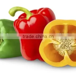 Big Red Chili Exporting Vietnam thumbnail-1