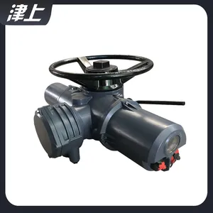 Rotary Electric Actuator IQ25 Aluminium Alloy Box thumbnail-3