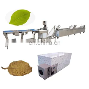 Lettuce Leaf Vegetables Spinach Cutting Washing Drying Full Automatic Processing Machine Line thumbnail-1