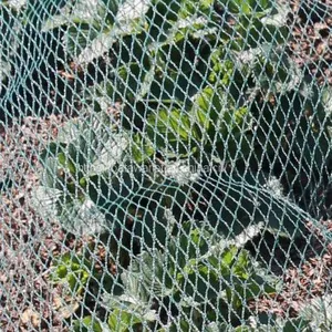 Agriculture Garden Protection Net Mesh High Strength HDPE Warp Knitted Green Bird Netting thumbnail-3