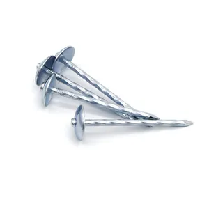 2.5inch Galvanized Corrugated Roofing Nails With Twisted Shank for Metal Roofing thumbnail-2
