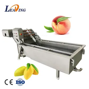 Commercial Washing Machine Fruit Vegetable Washer Bubble Cleaning Equipment thumbnail-1