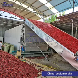 Firewood Burning Konjac Hawthorn Tea Onion Chili Day Lily Industrial Mesh Belt Dryer EPC thumbnail-3