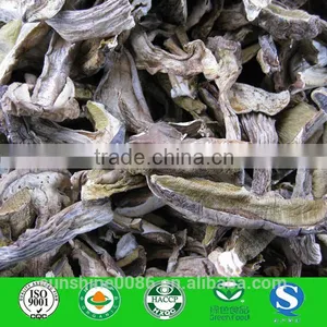Esculent Wild Dried Slice Boletus Mushroom thumbnail-1