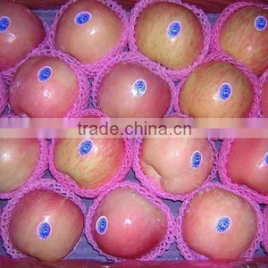 Red Fuji Apple thumbnail-1
