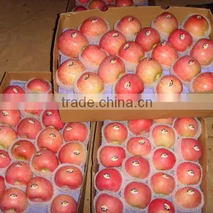 Red Fuji Apple thumbnail-1