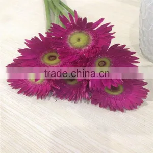 From China Beautiful Gerbera Cut Flowers Decoration thumbnail-1