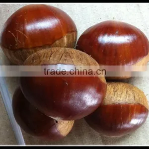 China Chestnut For Sale, Snack Chestnut thumbnail-1