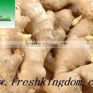 Professional Exporter Chinese Fresh Ginger, New Crop thumbnail-1