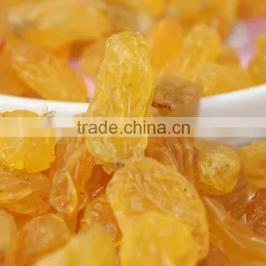 2015 New Crop Best Quality Fruit Products Dried Golden Sweet Raisin thumbnail-4