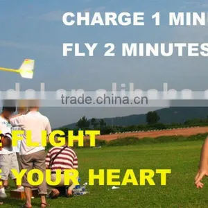 Free Flight Hobby Model Educational Toy thumbnail-1
