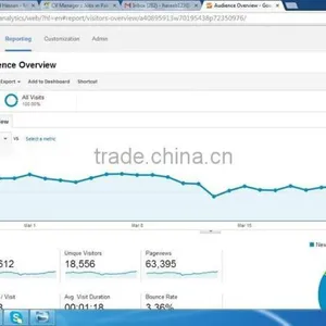 Search Engine Optimization Service thumbnail-1