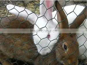 High Quality Hexagonal Wire Mesh With Galvanized Iron Wire thumbnail-1