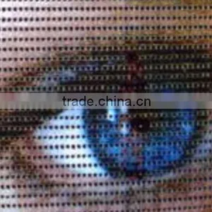 Eco-solvent /solvent Outdoor 1000*1000D/12*12 270g Pvc Mesh Banner Material thumbnail-2