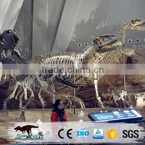 OA3113 Museum Quality Dinosaur Skull Replica Replica Dinosaur Skull thumbnail-6