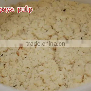 100% Natural High Quality Papaya Powder Factory Supply Dry Papaya Powder thumbnail-3