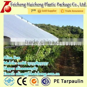 Polyethylene Tarpaulin With UV Treatment thumbnail-1
