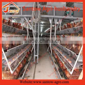 Automatic Chicken Egg Layer Cages Poultry Cage Battery Cage System for Sale thumbnail-5