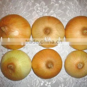 Chinese Red Onion Yellow Onion From Shandong thumbnail-4