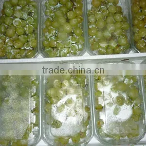 Green Superior Seedlees Grapes thumbnail-1