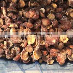 2015 Low Price Frozen Suillus Granulatus thumbnail-4