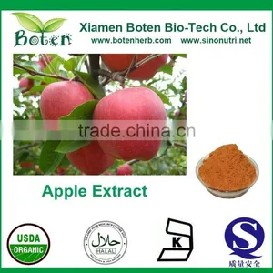 Apple Polyphenols / Phloretin / Phloridzin / Apple Extract thumbnail-1
