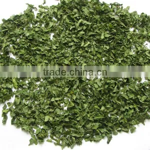 Supply Dehydrated Celery 2012 New thumbnail-1