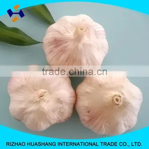 Red Fresh Garlic Size5.0cm thumbnail-5