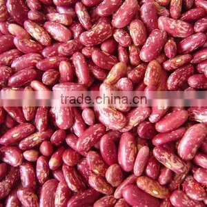 Organic Red Speckled Kidney Bean thumbnail-1