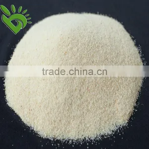 2015 Crop Golden Supplier Dehydrated Garlic Granules thumbnail-1
