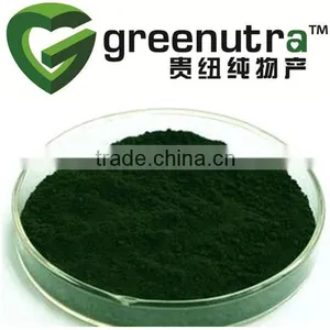 High Quality Pure Chlorophyll Powder thumbnail-1
