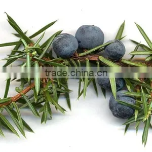 JUNIPERUS FLORAL WATER thumbnail-6