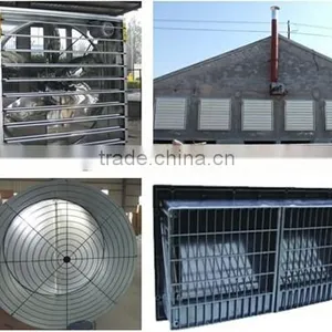 Automatic Broiler Poultry Equipment thumbnail-6