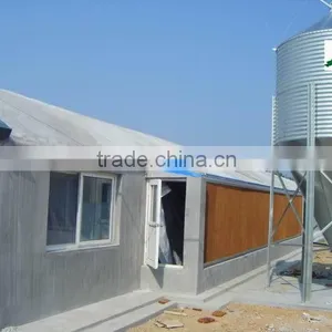 Automatic Chicken Raising Equipment thumbnail-3