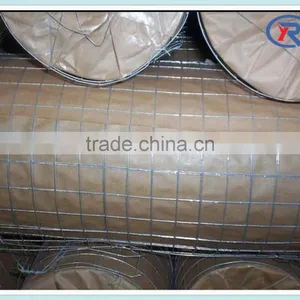 Trade Assurance Galvanized Iron Welded Wire Netting Mesh thumbnail-1