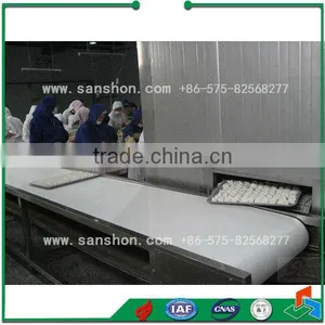China IQF Spiral Freezer thumbnail-4