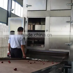 Red Dates Multiple Layer Stainless Steel Conveyor Dryer thumbnail-2