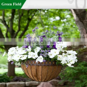 Hanging Basket thumbnail-2