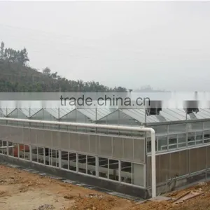 Commercial Drip Irrigation Glass Greenhouses With Top Quality thumbnail-1