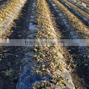 100% Biodegradable Mulch Film thumbnail-2