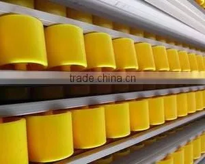 Roller Placon Conveyor With Plastic Roller Skatewheel Placon Roller Steel Frame thumbnail-5